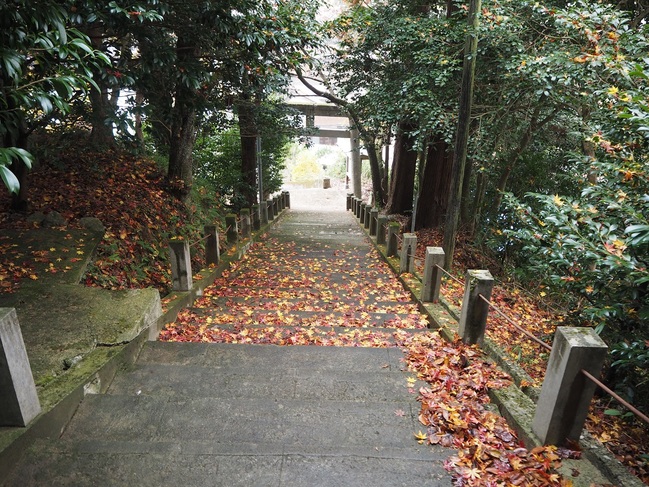 松尾山八幡宮　参拝を終えて降りる、もみじの階段