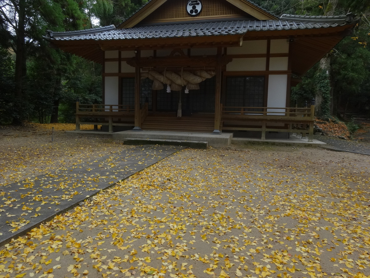 秋、境内をイチョウの絨毯で彩る、松尾山八幡宮