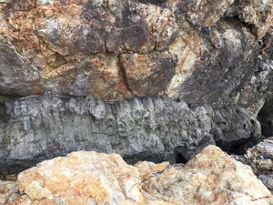 唐音の蛇岩 1