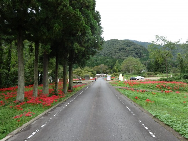 視界に少しずつ赤が増す