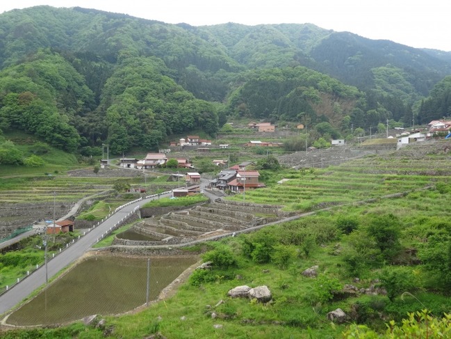 大井谷の棚田