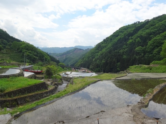 山並みと棚田