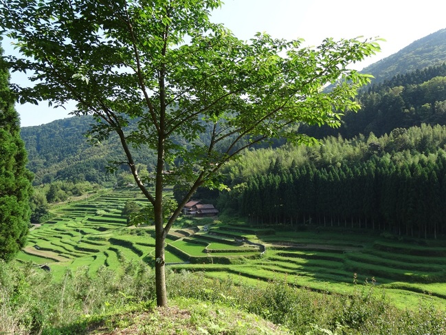 ”打歌の山”（大道山）