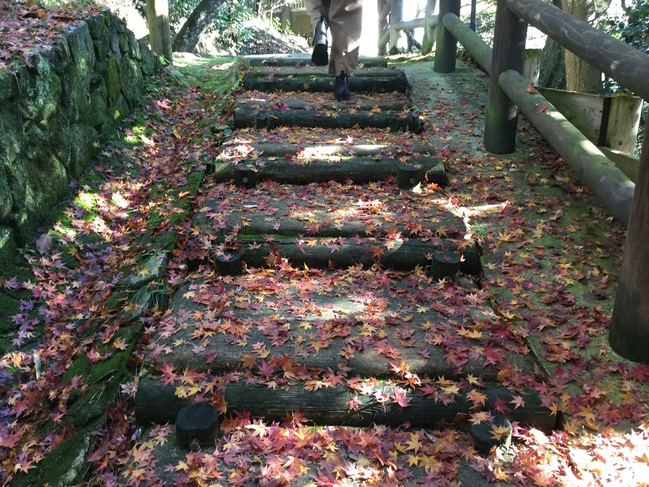 万葉植物園2