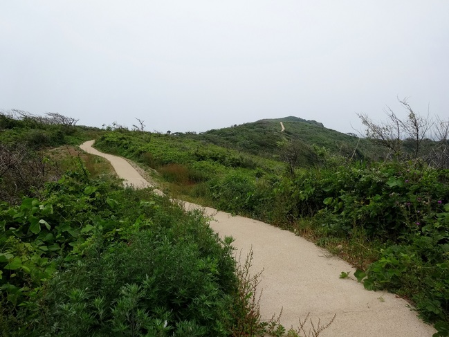 島津島遊歩道