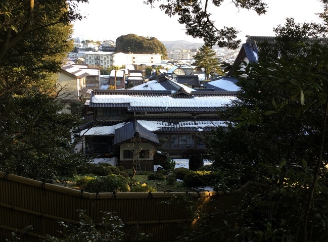 圓成寺稲荷社から見る圓成寺