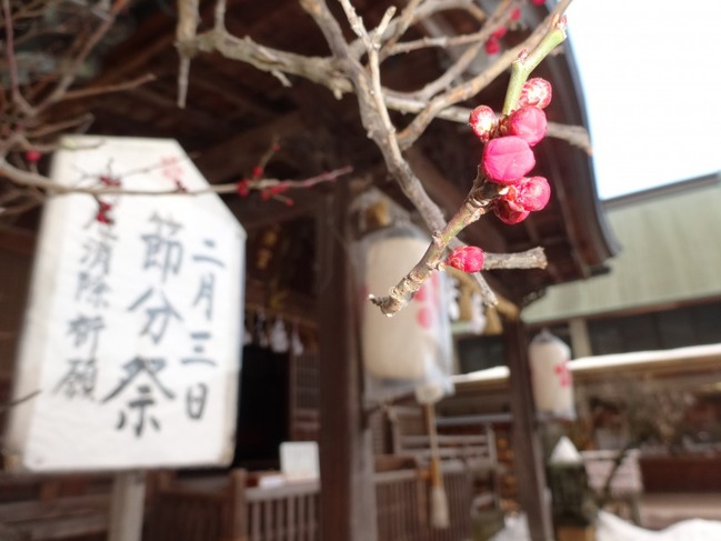 寒梅と天満宮