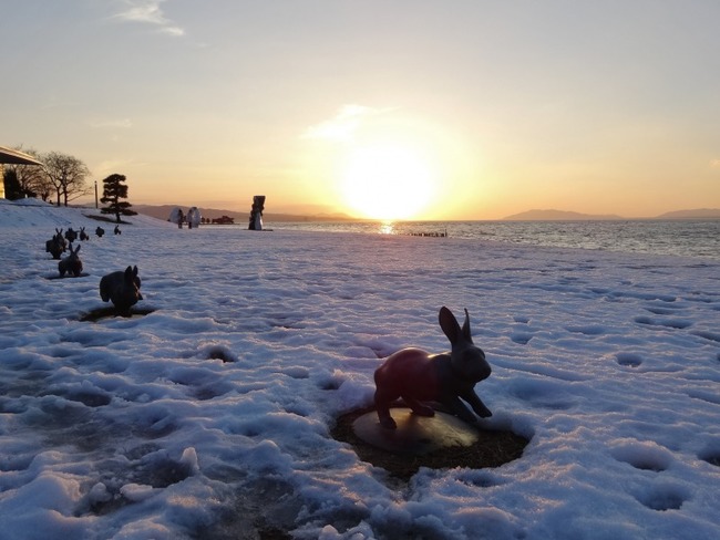 うさぎも夕日に照らされて