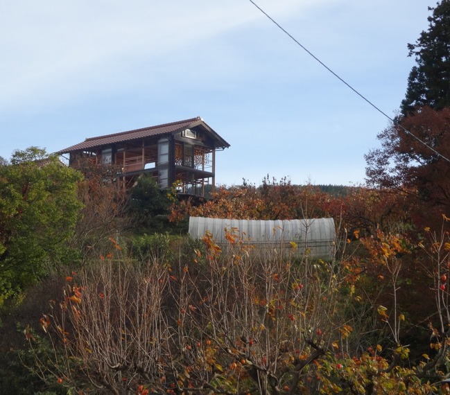 丘の上に建つ柿小屋