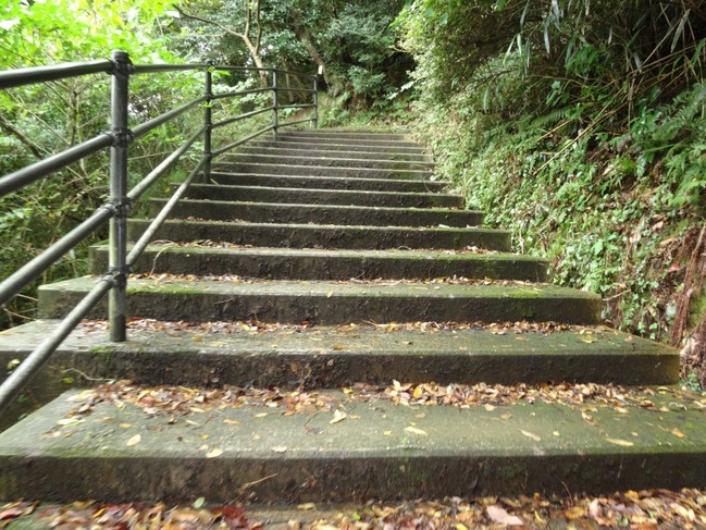 五本松公園への階段