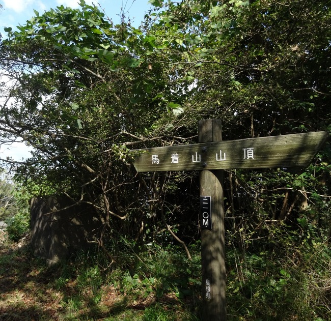 このコース最高地点 210ｍ