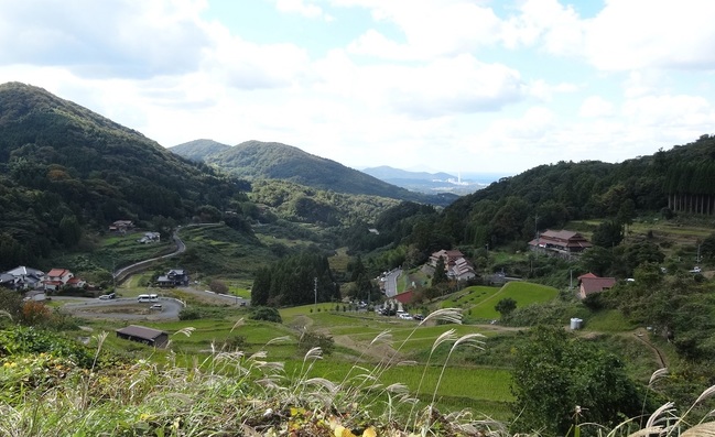 室谷の棚田