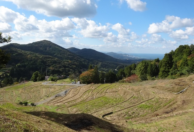 展望所から見る室谷の棚田