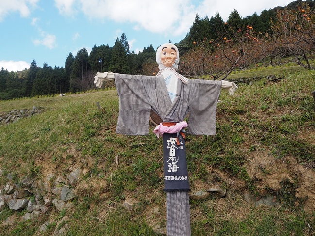 室谷の棚田から見る景色