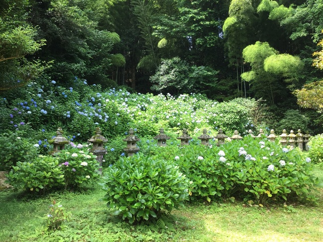 松平直政公の廟所（月照寺）