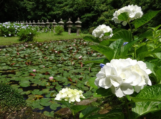 松平直政公の廟所（月照寺）