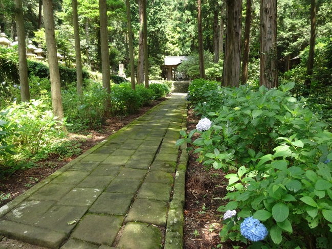 月照寺一番奥に見える松平綱隆公の廟所