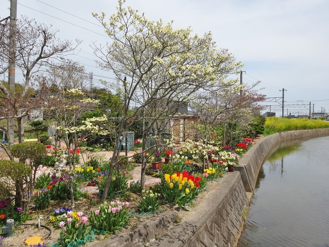 久白川沿い