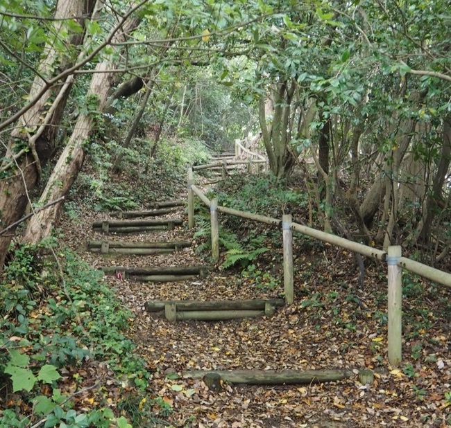 急な登り道が続きます