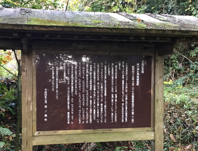 焼火神社神域植物群説明看板