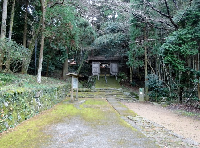 多鳩神社　苔生す石段の参道