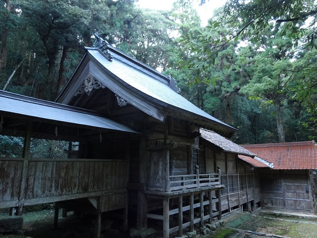 多鳩神社本殿から見る拝殿
