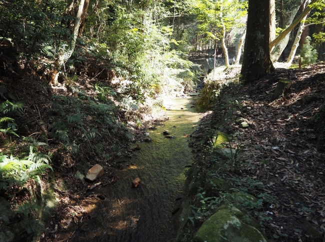 タマトの瀧