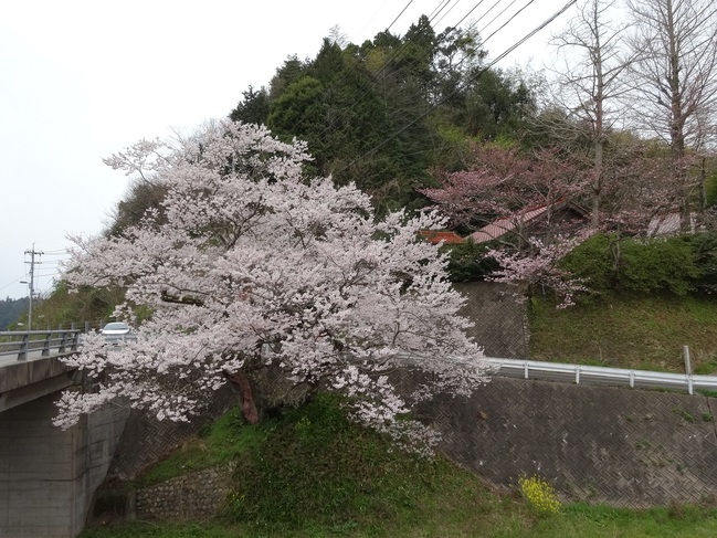 対岸から…