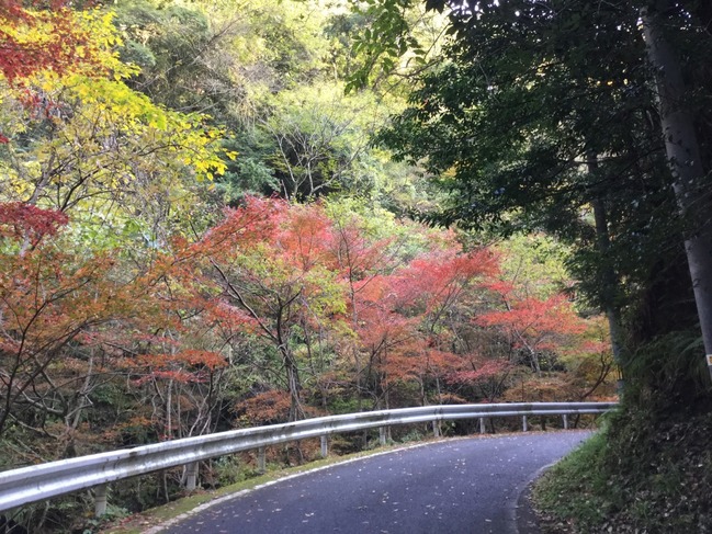 駐車場から向かう道