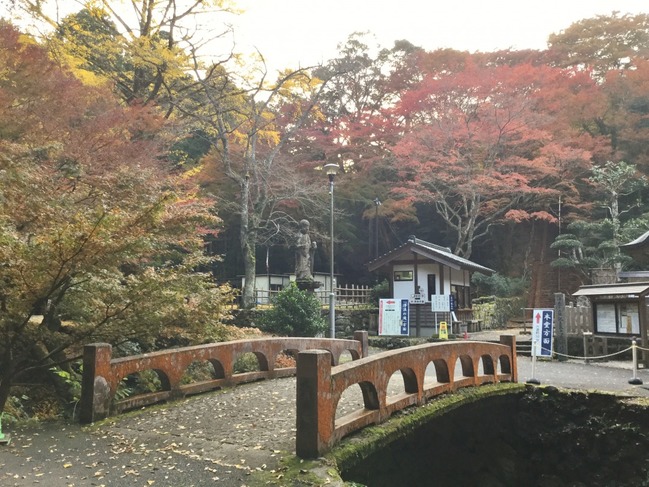 橋と紅葉