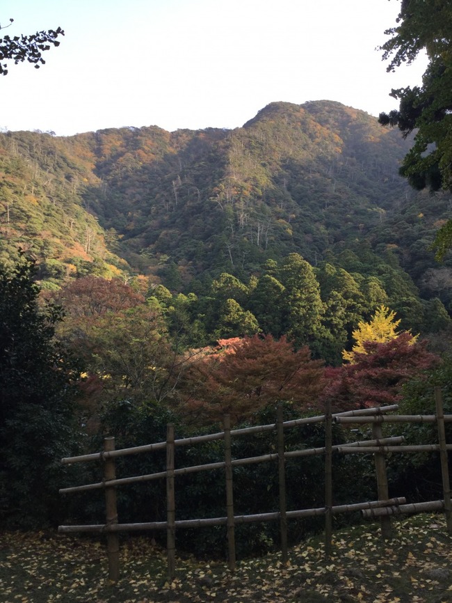 根本堂の辺りからの眺め