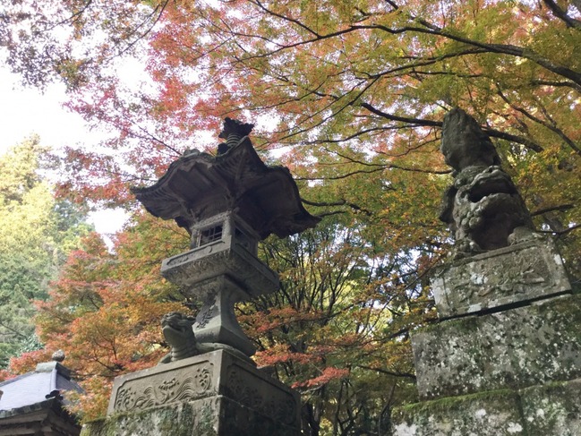 狛犬と狛亀に紅葉