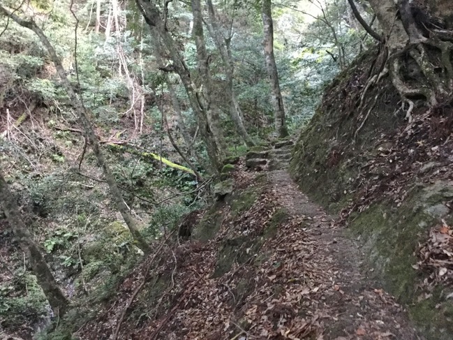 建物の後ろに参道あり（山道）