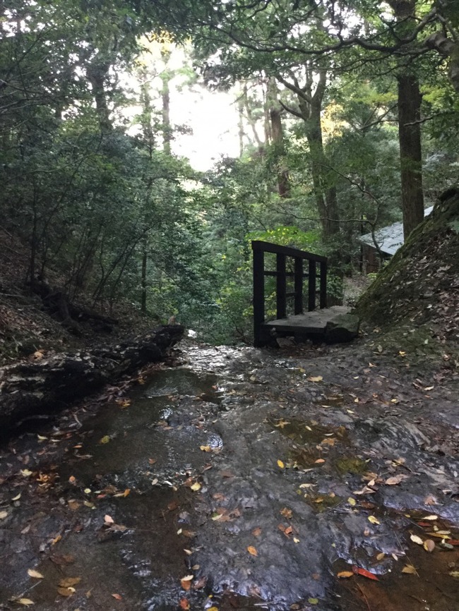 木造の建物を過ぎると滝です 