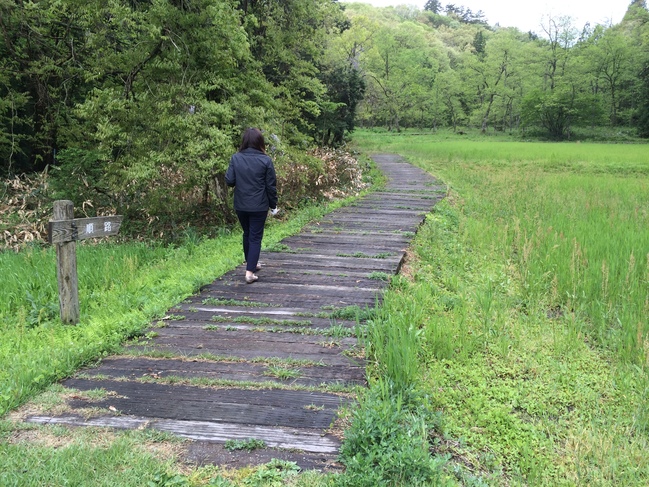 赤名湿地 木道の始まり