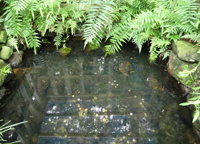 塩の井（須佐神社境内） image 7 of 8