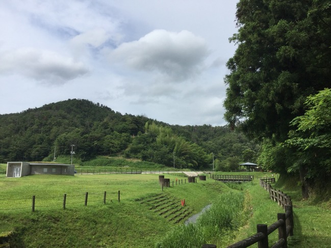 三瓶小豆原埋没林公園