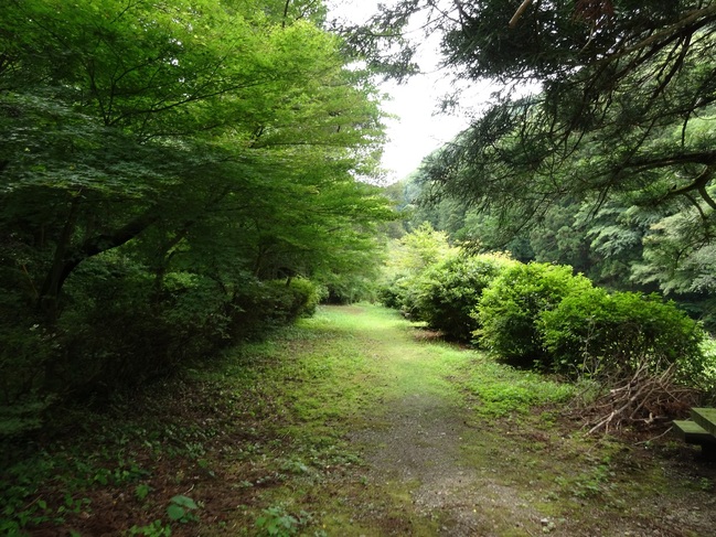 立久恵峡（若槻公園）