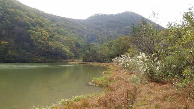 室の内池