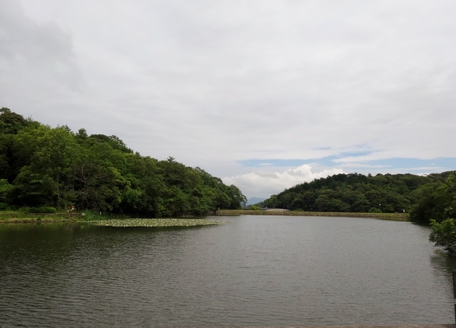 西谷池（荒神谷史跡公園）