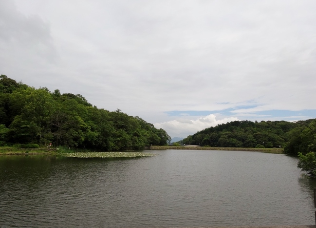 西谷池（荒神谷史跡公園）