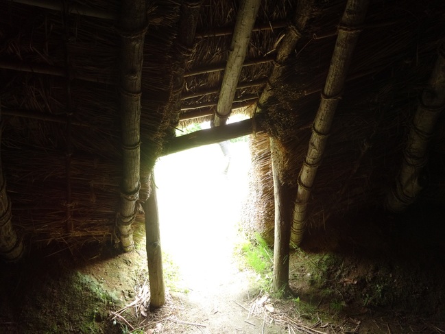 古代復元住居（中からの写真）