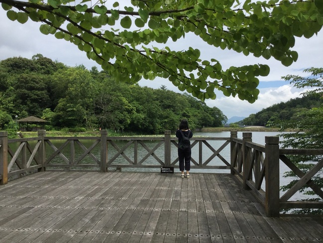 西谷池（荒神谷史跡公園）