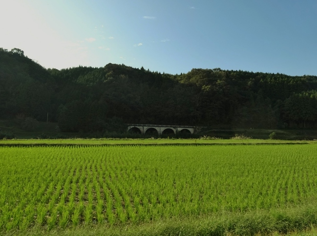 田んぼの向こうのコンクリートアーチ橋