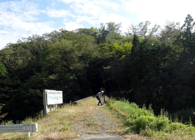 4連アーチ橋の上の草取りをされる『今福線ガイドの会』の石本さん