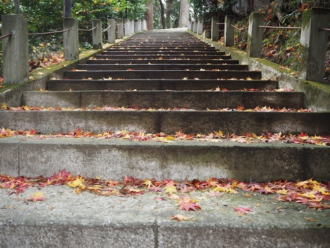 松尾山八幡宮　参道の階段