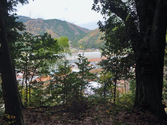 松尾山八幡宮の境内から見える町並み