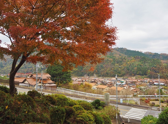 妙用寺から見る美郷の町