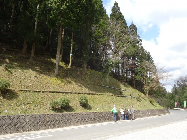 谷戸地区 イズモコバイモの群生地