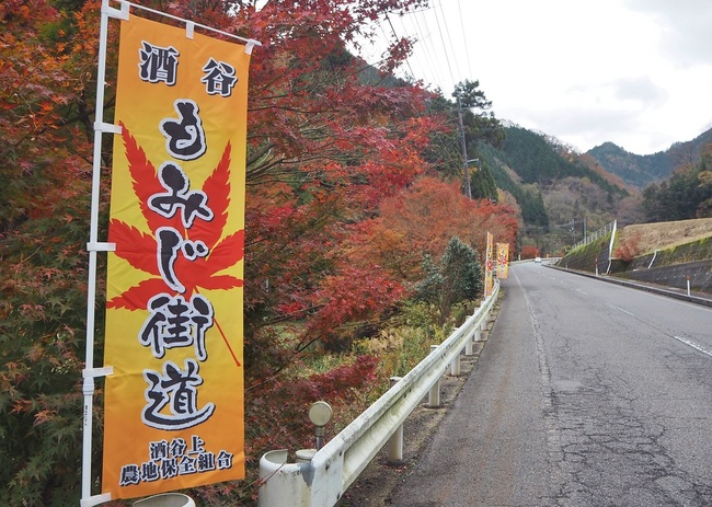 酒谷もみじ街道